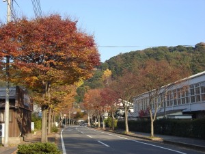 益田高校の前の道