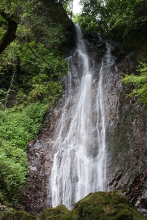 大魚切の滝１