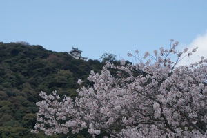 岩国城と桜２